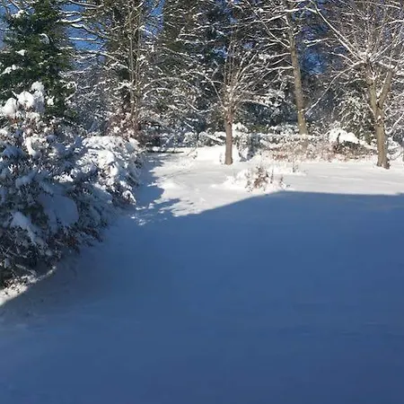 Szálloda Panorama Frohnau Bad Sachsa