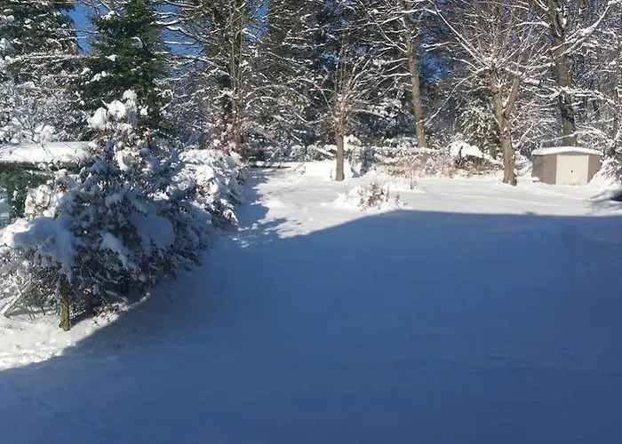 מלון Panorama Frohnau באד סקסה